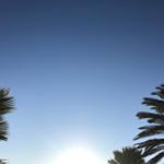 Profile Picture of Jason Hua (@jasonreichenhua) on Instagram