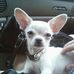 Profile Picture of Dunkin Bloomer (@dunkin.bloomer) on Facebook