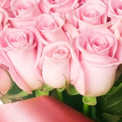 Profile Picture of Fabiola Cuevas (@fabiolacuevas4) on Twitter