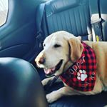 Profile Picture of Dee Fleming (@dee.m.fleming) on Instagram