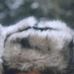 Profile Picture of Andrew Suh Yong Chung (@andrew.s.chung.1) on Facebook