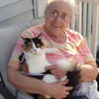 Profile Picture of Melodi Pierce-Walrath (@melodiwalrath) on Pinterest