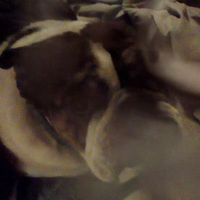 Profile Picture of Guy Campbell (@GuyCampbell20) on Twitter