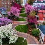 Profile Picture of Mindy Larkin (@larkinmindy) on Instagram