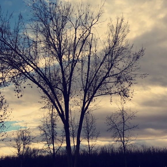 Profile Picture of Rivaldo Garzon (@rivaldo_garzon) on Poshmark