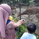 Cici Rianti Lismayani - Instagram Profile Picture of Cici Rianti Lismayani (@ciciucil38) on Instagram