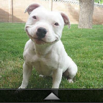 Profile Picture of Edgar Velasquez (@edgarvelasquez8) on Twitter