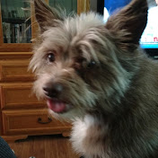 Profile Picture of Jon Parenteau (@jonparenteau6679) on Youtube