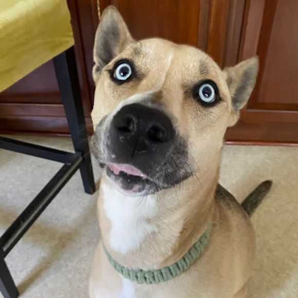 Paige Mullins - Poshmark Profile Picture of Paige Mullins (@plmladybug) on Poshmark