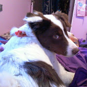 Profile Picture of Cassandra Blair (@cassandrablair498) on Youtube