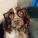 Audrey Brousseau - Instagram Profile Picture of Audrey Brousseau (@aulumael) on Instagram