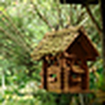 Profile Picture of Yu Tong (@Yu Tong25) on Flickr