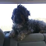 Profile Picture of Jojo (@worrelljodi) on Instagram