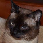 Profile Picture of Skye Jacobson (@skyejacobson) on Instagram