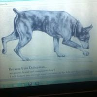 Profile Picture of Aidan Reed (@aidan-reed-3) on Quora