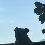 Profile Picture of Minha Kim (@minhakim__) on Instagram