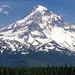 Profile Picture of Dan Hilferty (@dan.hilferty.94) on Facebook