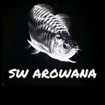 Profile Picture of Joe Durham (@southwestarowana) on Instagram