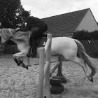 Profile Picture of   French.Rider 🇫🇷... (@teo.equit) on Tiktok