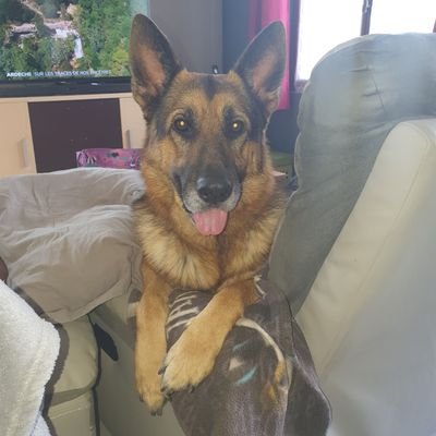 Profile Picture of Herbert Pauline (@HerbertPauline4) on Twitter