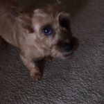 Profile Picture of John Eicher (@ike.1954) on Instagram
