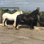 Paul mcallister - Instagram Profile Picture of Paul mcallister (@mcallister1321) on Instagram