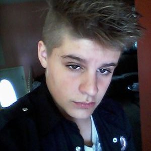 Profile Picture of Markarnette (@Fnaf_Expert) on Twitter