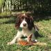 Profile Picture of Mable Jean Deters (@mabel.deters.7) on Facebook