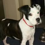 Profile Picture of john_poulos (@john_poulos59) on Instagram