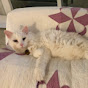 Profile Picture of Peter Bryant (@@petersbryant) on Tiktok