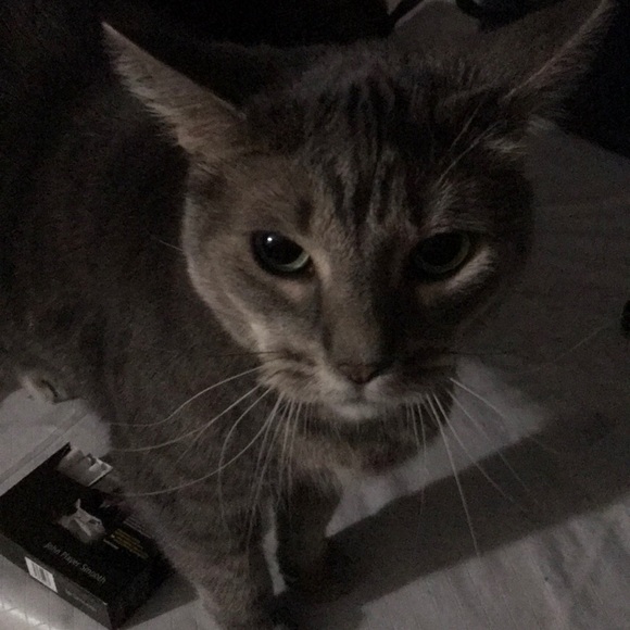 Profile Picture of Laurie Nantais (@nantl) on Poshmark