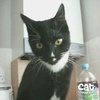 Profile Picture of charlieannsmith (@@charlieannsmith) on Tiktok