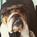 Profile Picture of Daniel Musk (@musk.daniel) on Instagram
