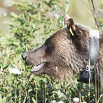 Profile Picture of Paul van Harte (@pvanharte) on Flickr