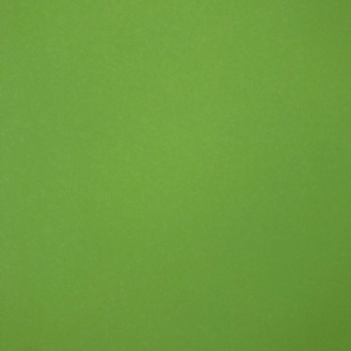 Profile Picture of lily  Wyatt (@lilywyatt00) on Tiktok