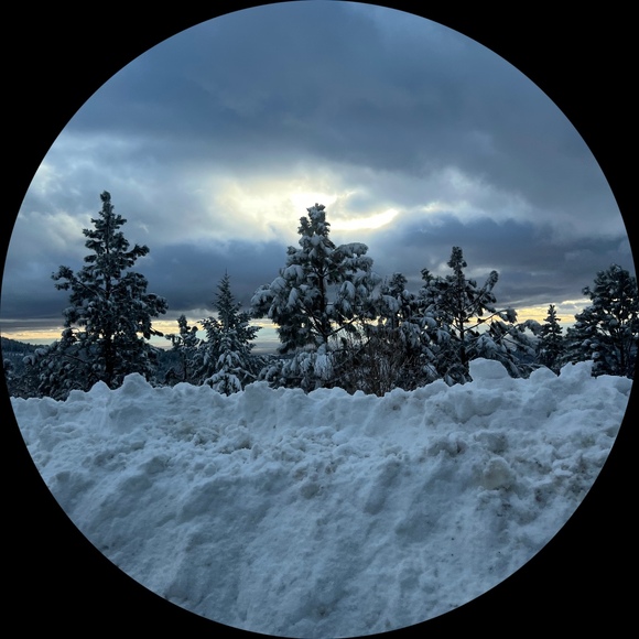 Profile Picture of Alexia Armstrong (@alexiaarmstr468) on Poshmark