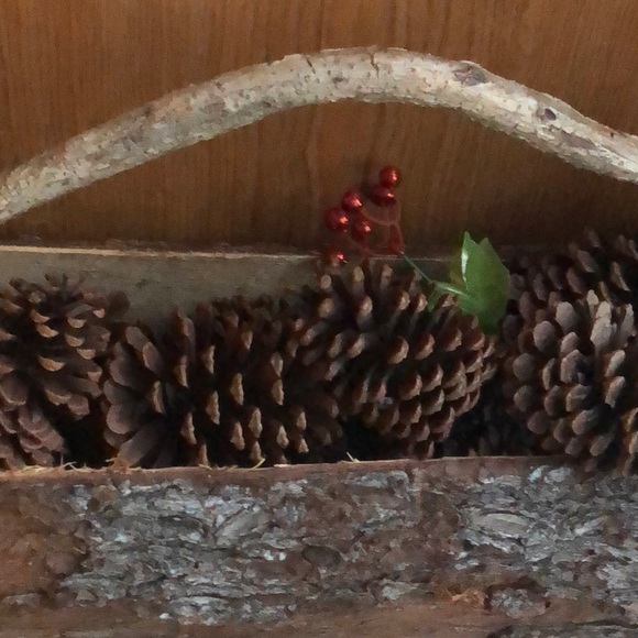 Monique Frederich - Poshmark Profile Picture of Monique Frederich (@bluesfan9186) on Poshmark