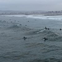 Profile Picture of Tony Pignone (@tony-pignone) on Quora