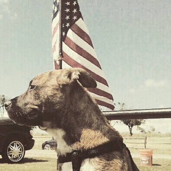 Profile Picture of Nicholas Condon (@yeet_boii316) on Poshmark