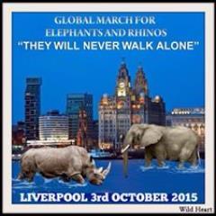 Profile Picture of Hazel Jones (@hazeljaynejones) on Twitter