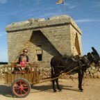 Profile Picture of Benito Alvarez Sanchez (@deguelto) on Instagram