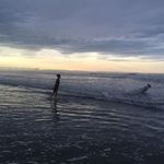 Profile Picture of Anne Schroeder (@fernnurture) on Instagram