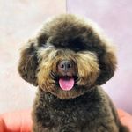 Profile Picture of Digby Loftus (@digbyloftus) on Instagram