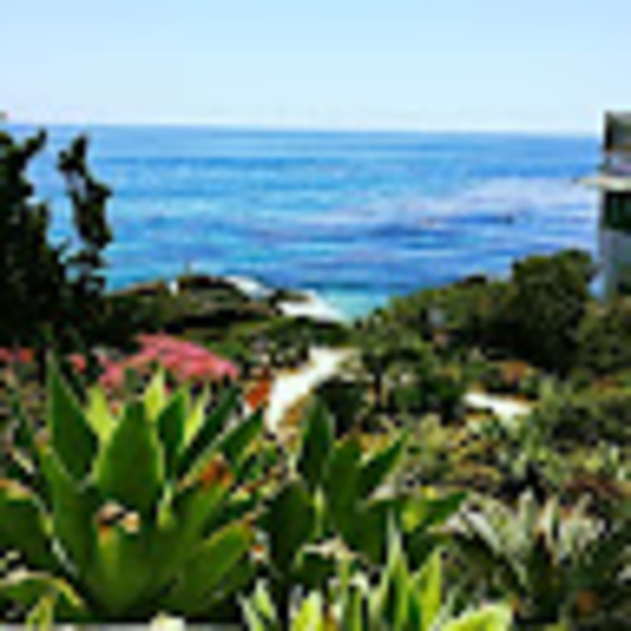 Profile Picture of Dorothea Reynolds (@dlreynolds23) on Poshmark