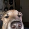 Profile Picture of Tyler McDowell (@@tmac6112) on Tiktok