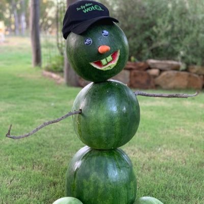 Profile Picture of Terry O'Leary (@grow_dem_melons) on Twitter