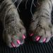 Profile Picture of Heather Thode (@heathercomb) on Pinterest