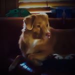 Profile Picture of Tia Elliott Sharp (@tiaelliottsharp) on Instagram