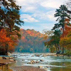 Profile Picture of Harrison (@BitzelMack) on Twitter