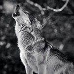 Profile Picture of David Bußmann (@davidbussi28) on Instagram